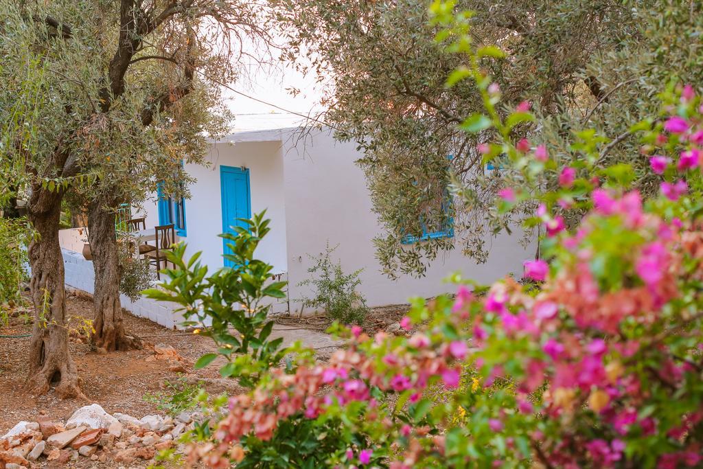 Kaktus Cakil Villa Kas Exterior photo