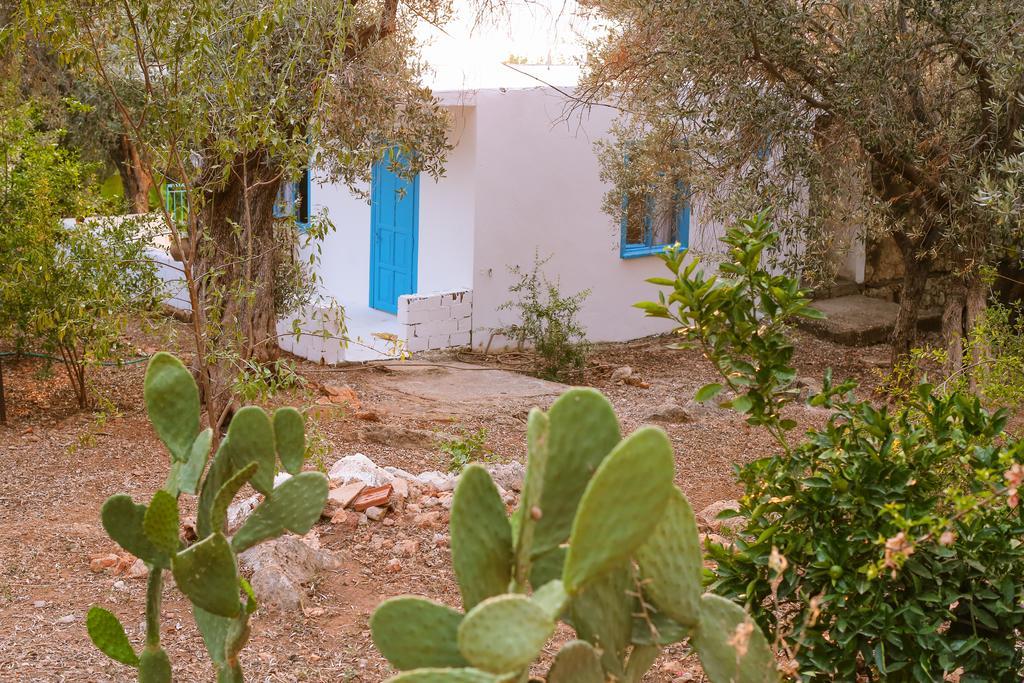 Kaktus Cakil Villa Kas Exterior photo